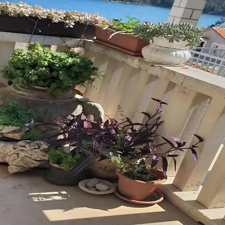 Tina - One Bedroom With Terrace *