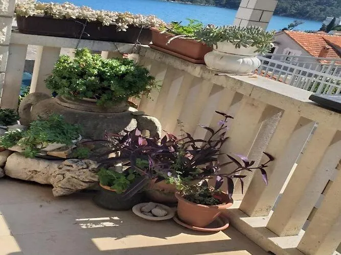 Tina - One Bedroom With Terrace *